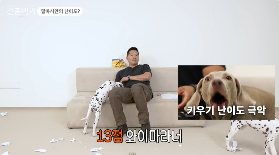 유투브 개통령도 키우지 말라고 하는 개_3.jpg