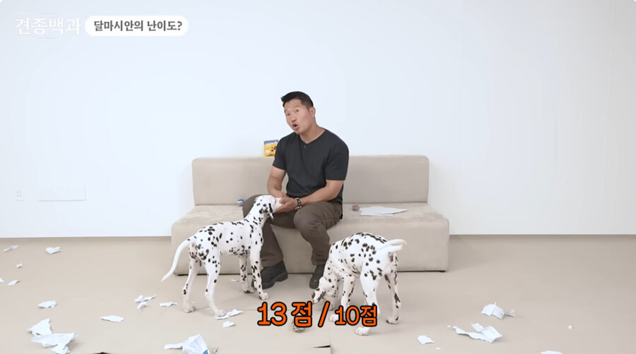 유투브 개통령도 키우지 말라고 하는 개_5.jpg