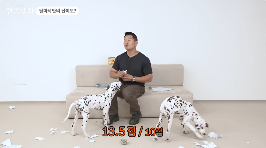 유투브 개통령도 키우지 말라고 하는 개_6.jpg