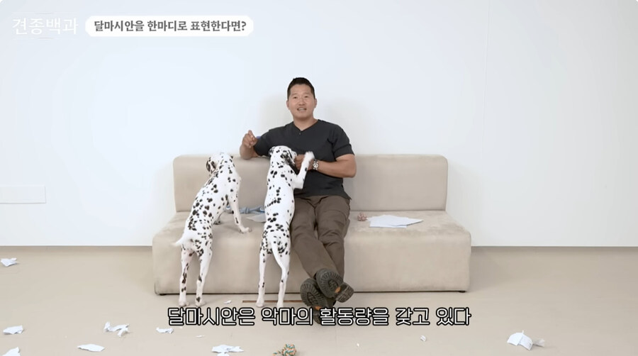 유투브 개통령도 키우지 말라고 하는 개_19.jpg