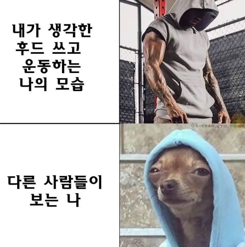 후드를 쓴다고 모두가 암살자처럼 보이는것은 아니다_1.jpg