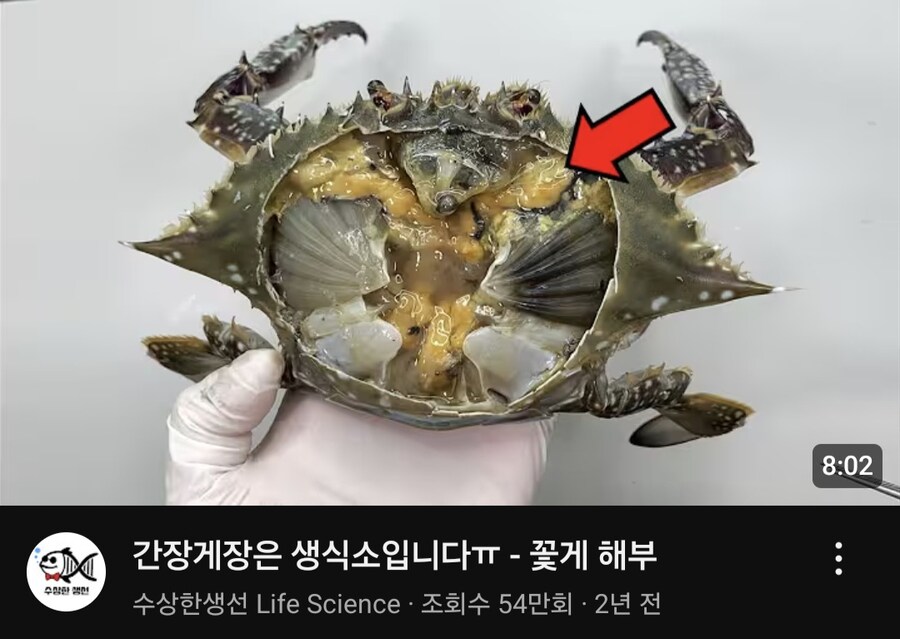 밥도둑 간장게장의 주 부위_1.jpg