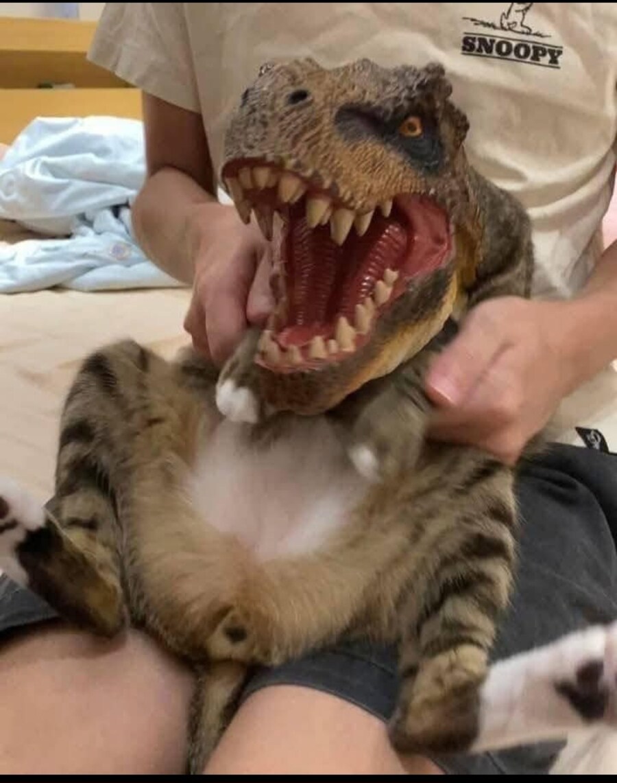 티라노의 발톱_4.png