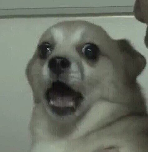 이해 할 수 없다.jpg_2.jpg