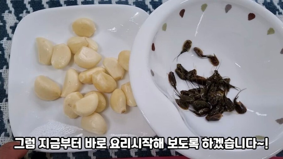 논에 사는 투구새우 잡아 먹으면.jpg_5.jpg