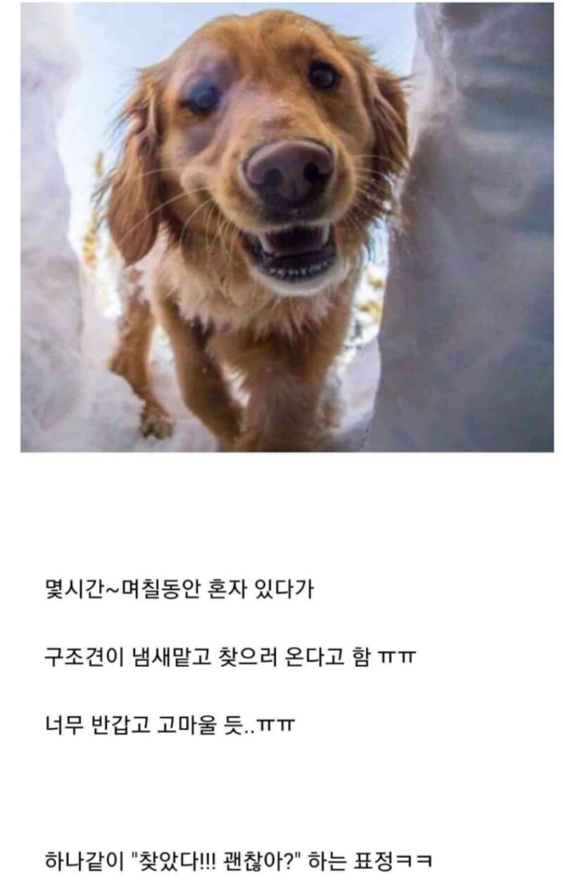 조난당한 사람이 평생 잊지 못한다는 얼굴_2.png