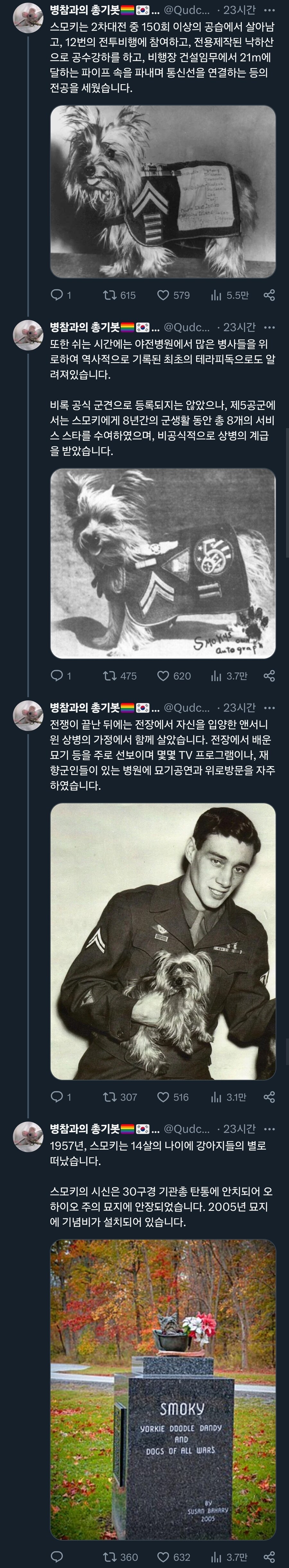 2차대전 중 미군 소속으로 참전한 강아지.jpg_2.jpg