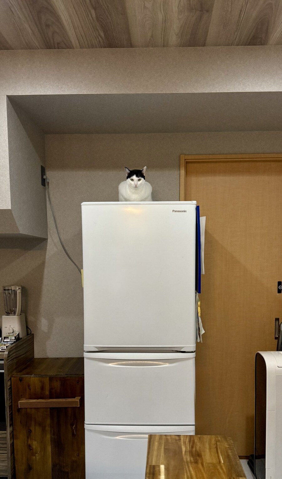 냉장고의 문지기.jpg_1.jpg