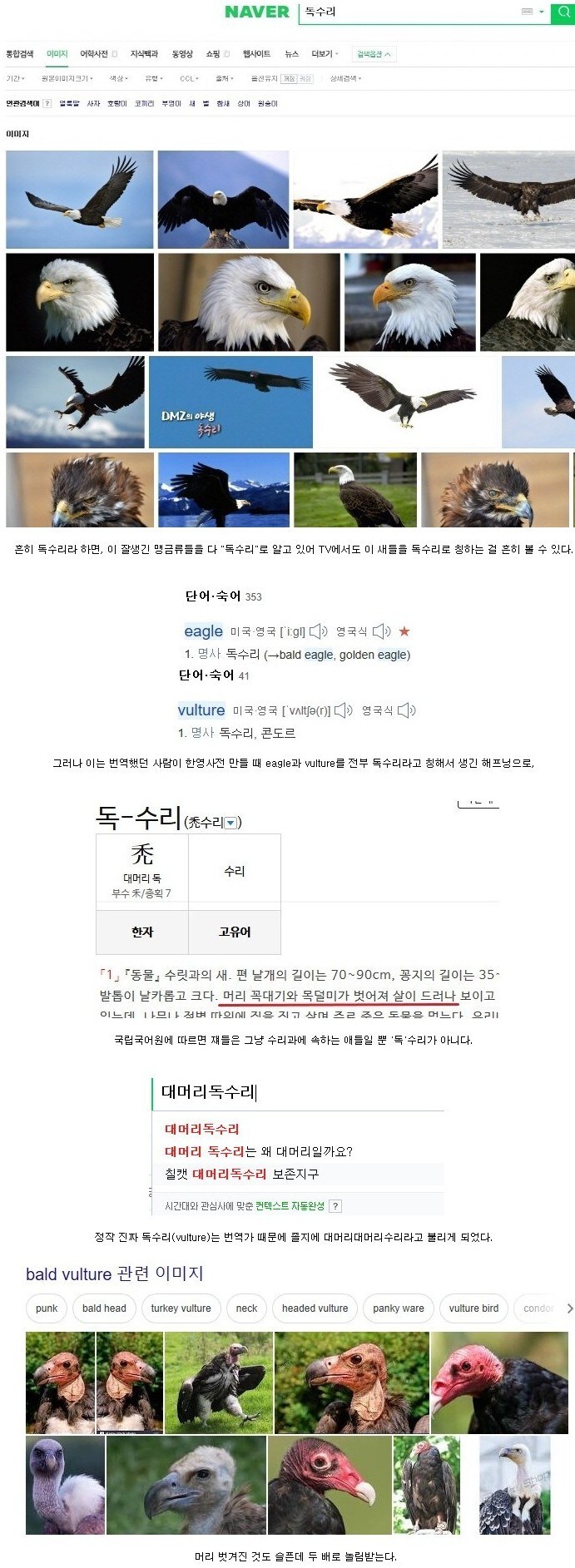 번역 실수로 놀림받는 조류.jpg_1.jpg