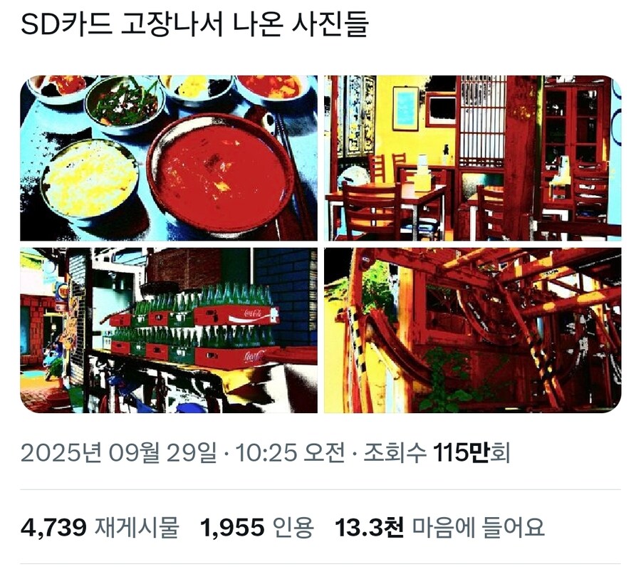 카메라 SD카드가 고장나서 나온 사진들_1.jpg