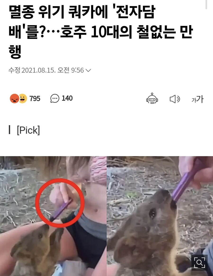 쿼카 등 희귀 멸종위기종을 엄격하게 관리하는 이유.jpg_1.jpg