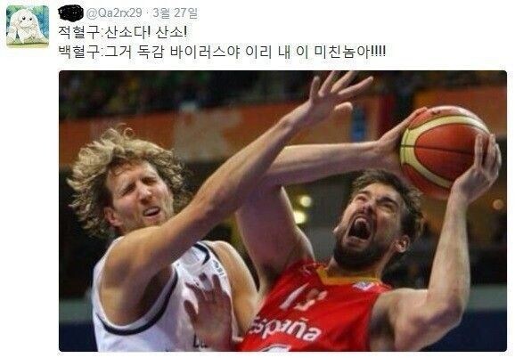 백혈구와 적혈구의 싸움_1.jpg