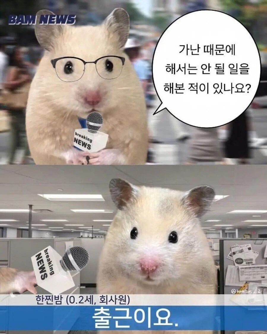 ??? : 가난때문에 해서는 안되는 일 하기.jpg_1.jpg
