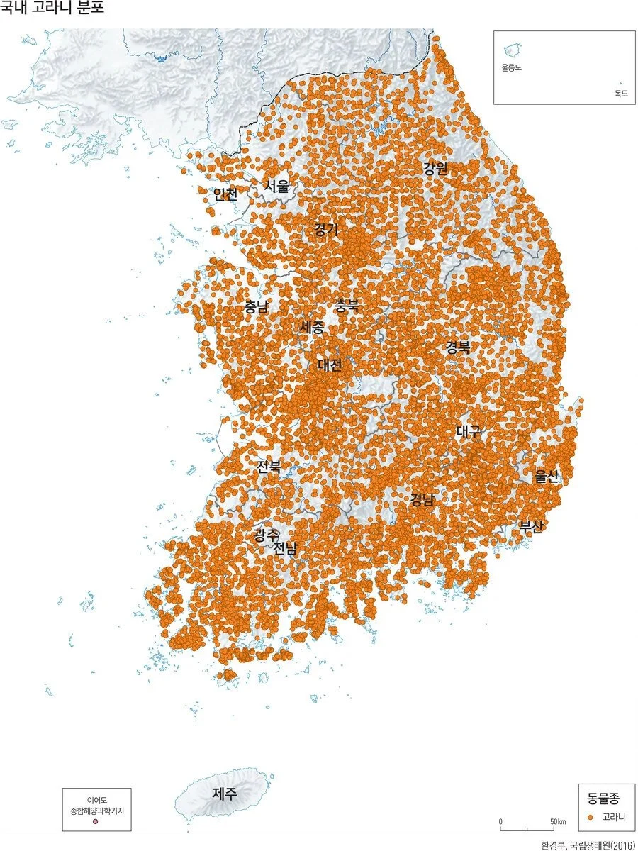 외국인들은 존재자체를 못믿겠다는 한국 토종 동물_2.webp