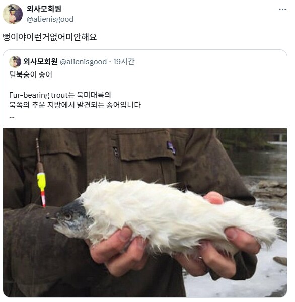 털복숭이 송어.jpg_2.png