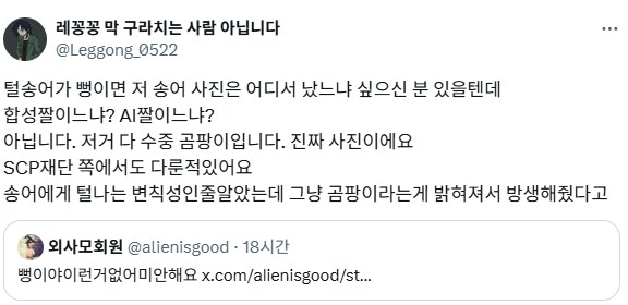 털복숭이 송어.jpg_3.png