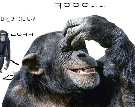 나는 여동생에게 미움받고 있다..._6.jpg