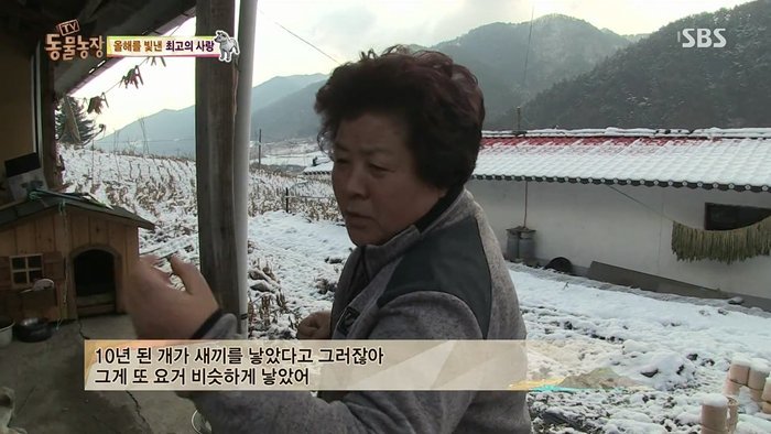 동물농장 최대의 스캔들 카사노바 상동이, 그 이후 | 인스티즈