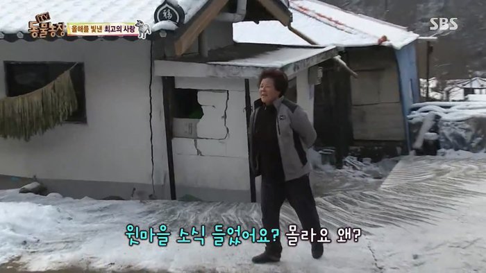 동물농장 최대의 스캔들 카사노바 상동이, 그 이후 | 인스티즈