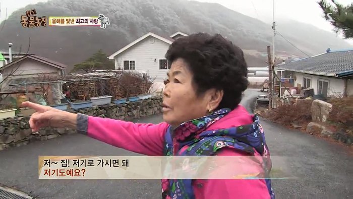 동물농장 최대의 스캔들 카사노바 상동이, 그 이후 | 인스티즈