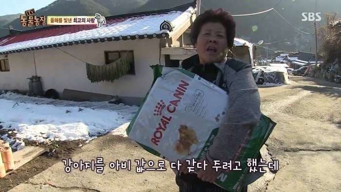 동물농장 최대의 스캔들 카사노바 상동이, 그 이후 | 인스티즈