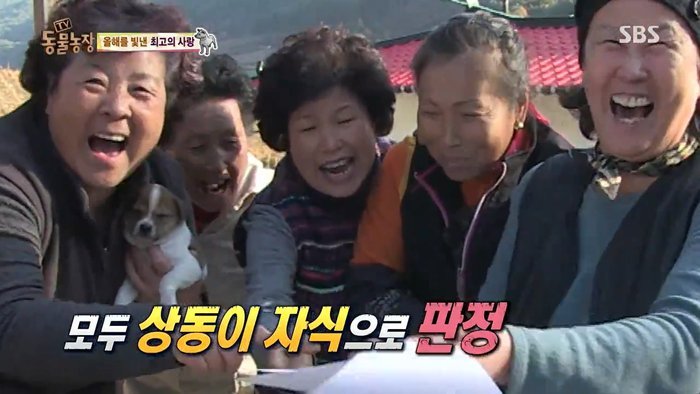 동물농장 최대의 스캔들 카사노바 상동이, 그 이후 | 인스티즈