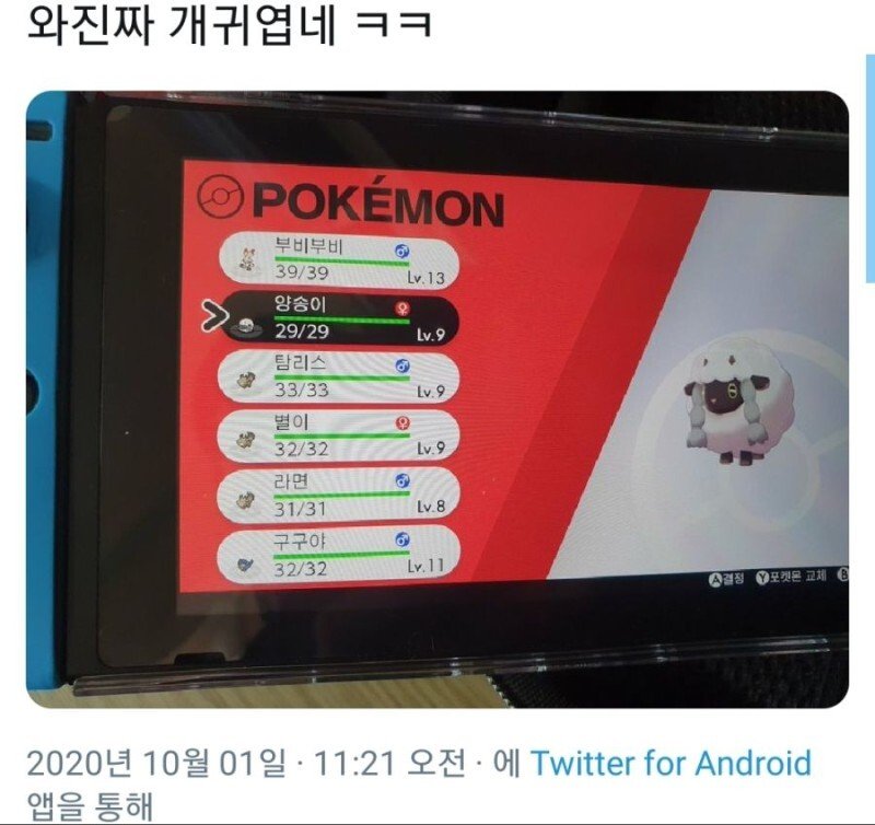 조카의 포켓몬.jpg_3.jpg