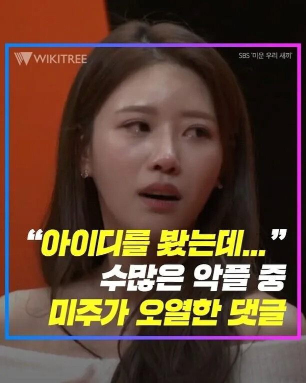 수많은 악플 중 발견하고 오열한 댓글_1.jpg