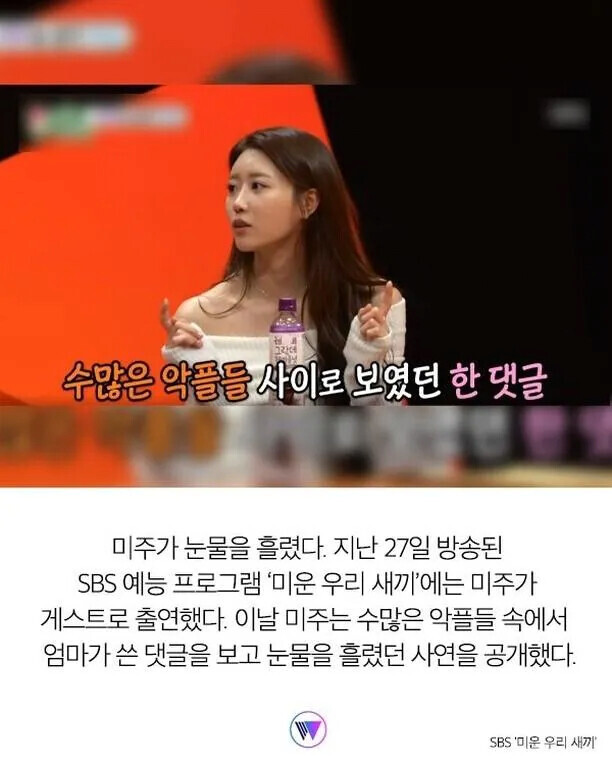 수많은 악플 중 발견하고 오열한 댓글_2.jpg