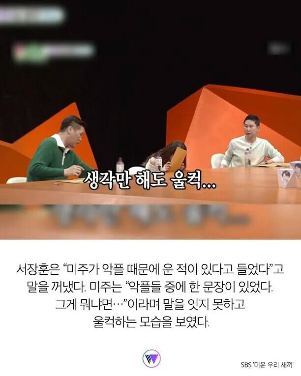 수많은 악플 중 발견하고 오열한 댓글_3.jpg