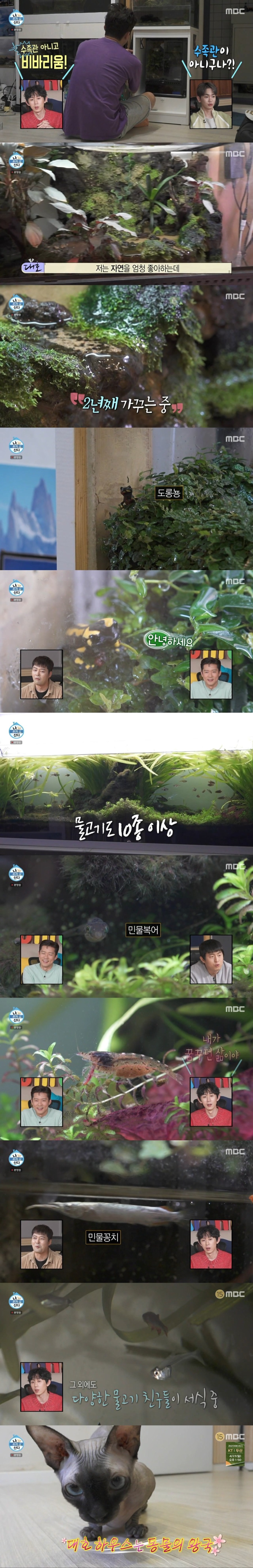 진또배기 나 혼자 산다.jpg_2.jpeg