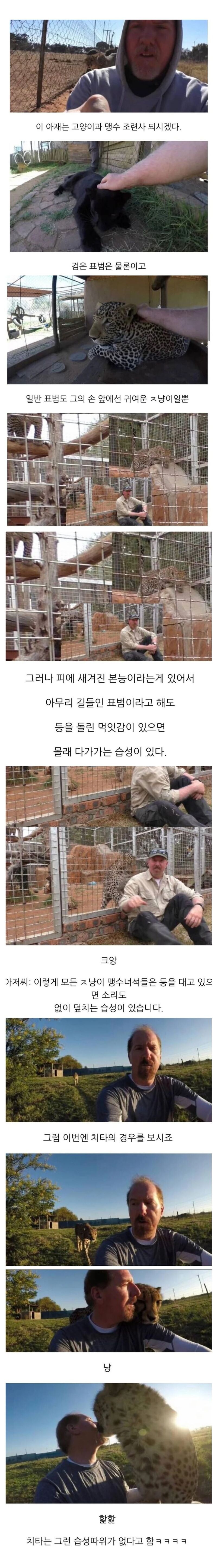 맹수에게 등을 보이면 안되는 이유_1.jpeg