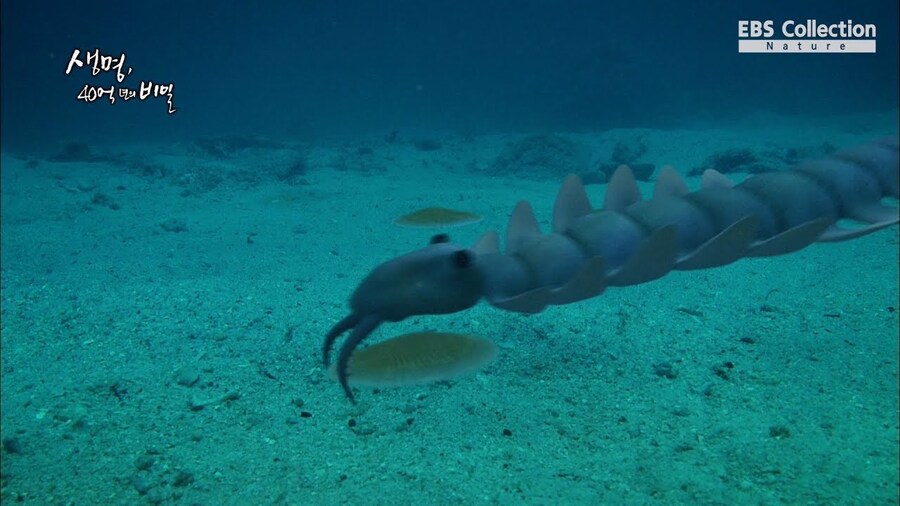 한반도에서 살았던 사람들 시대별 모습_13.jpg