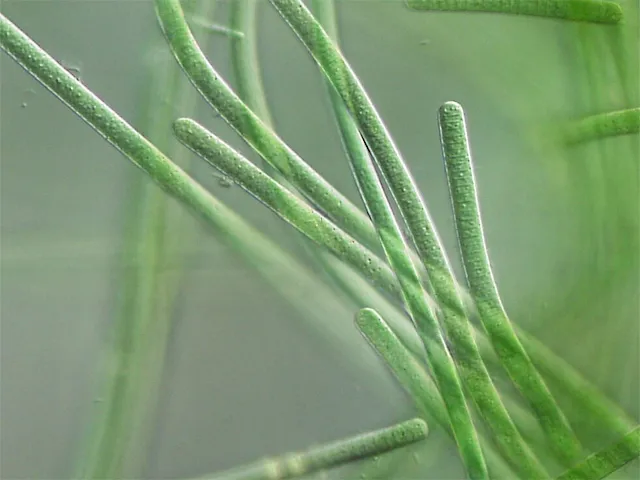 한반도에서 살았던 사람들 시대별 모습_14.webp