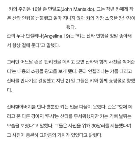 자신의 애착인형이 살아움직이는 걸 보게된 댕댕이_2.jpg