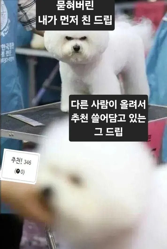 코뮤하다가 생기는 질투나는 상황_1.jpg