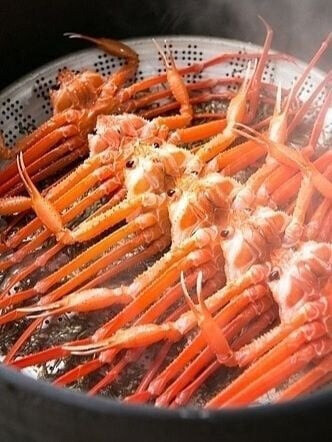 스팀 찜해놓은 게임 추천좀 ㅋㅋㅋㅋㅋ_1.jpg