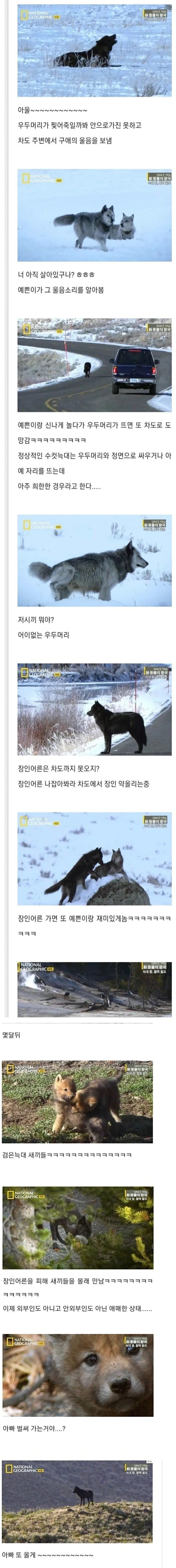 족장 딸을 넘보는 떠돌이 백수.jpg_2.jpg