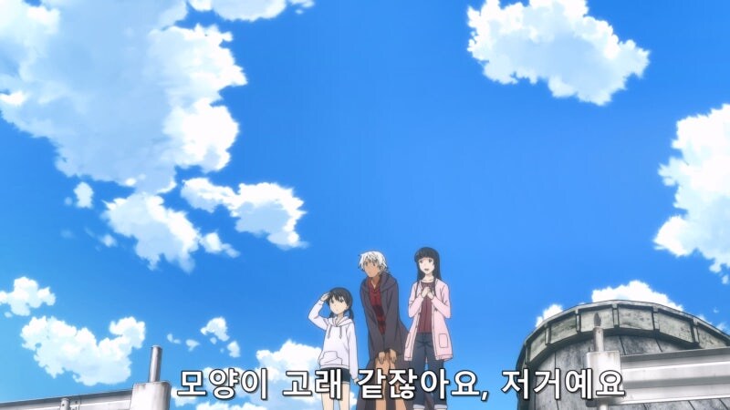 의외로 마녀들도 보기 힘들다는 존재_13.jpg