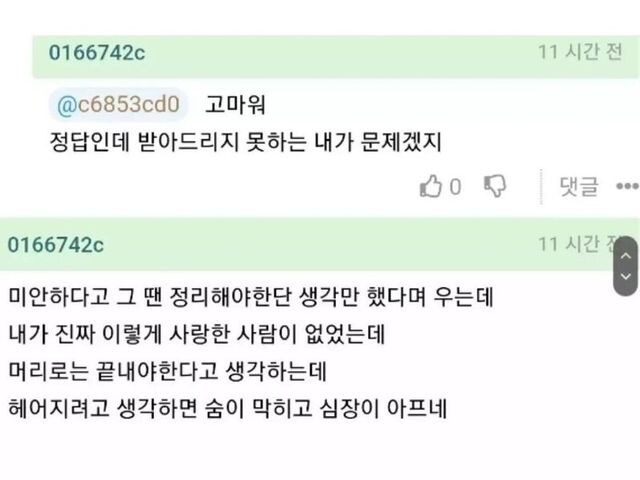 애인이 딴 남자랑 잤다는 글에 나타난 현자.jpg_2.jpg