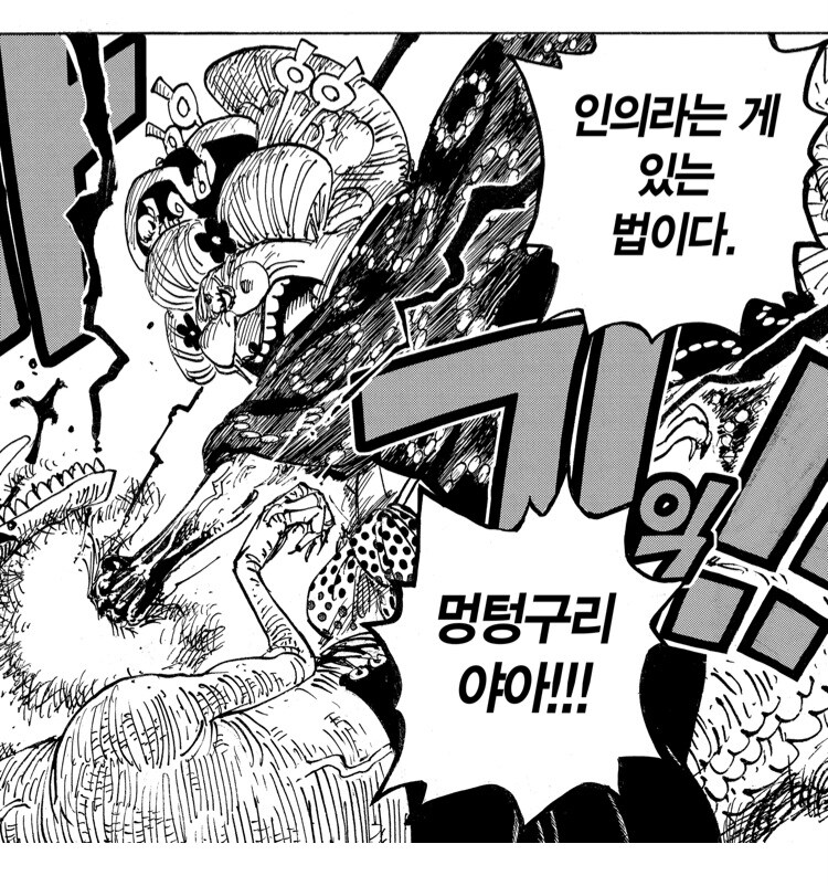 원피스 사람들이 록스를 호의적으로 보는 이유_2.jpg
