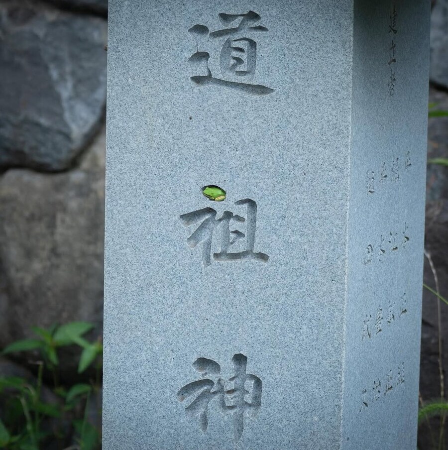이, 이건 내 구멍이에요!_2.jpg