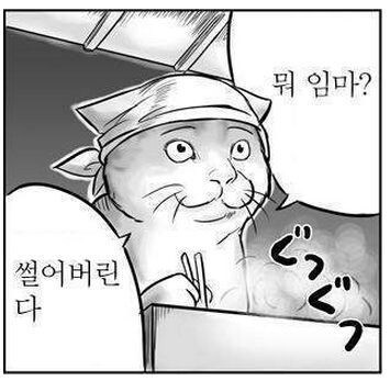카톡이