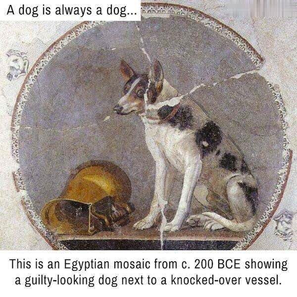 기원전 200년의 사고친 강아지 그림_1.jpg