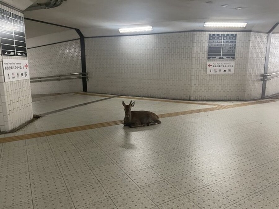 이변발생_1.jpg
