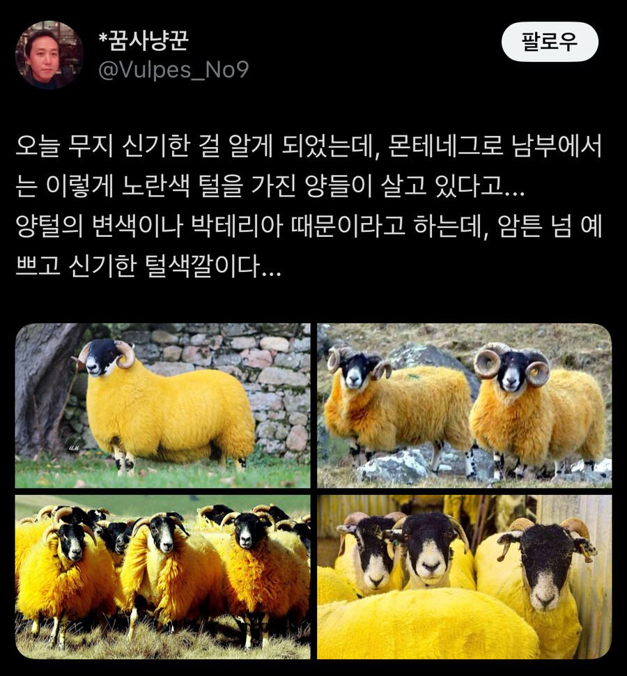 이어서 생태계 소식 전해드립니다_5.jpg