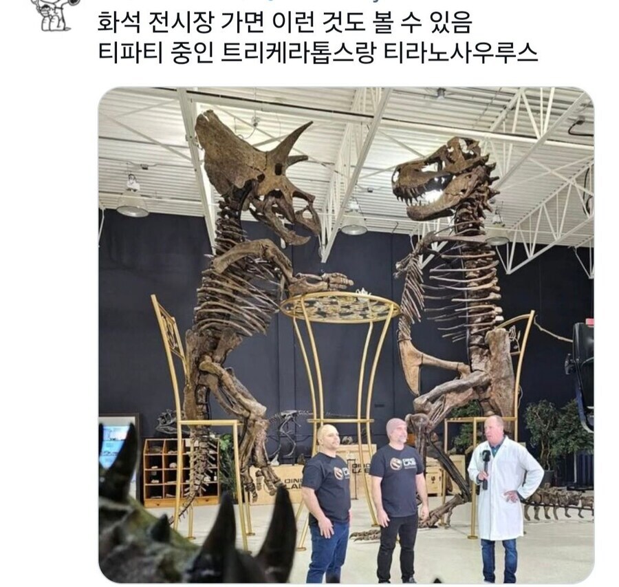 박물관에 있으면 진짜임_1.jpg