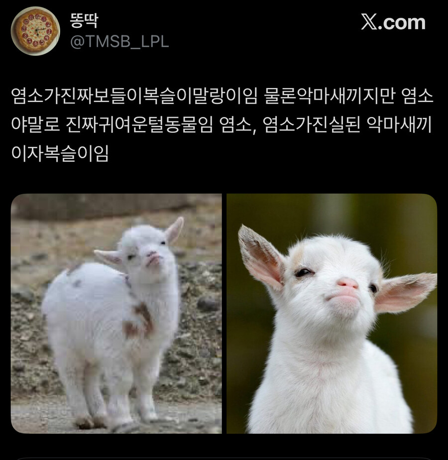 이어서 생태계 소식 전해드립니다_1.jpg