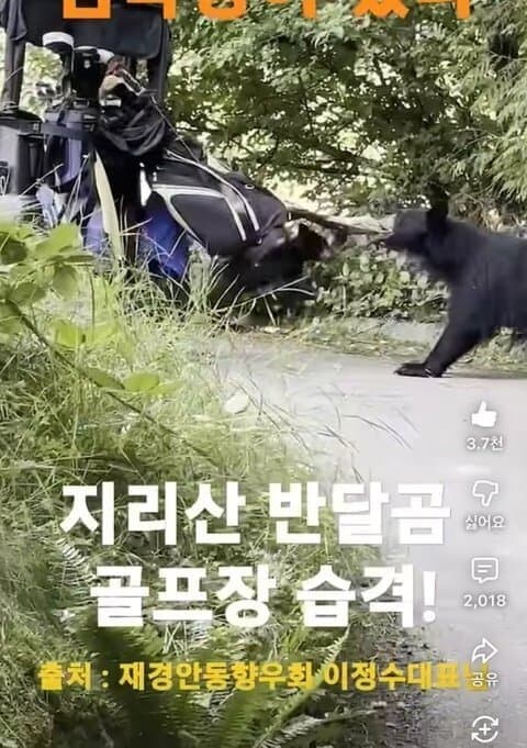 반달곰은 호전성이 없어서 사람있는 곳으로 와서 행패를 부리지 않습니다!_2.jpg
