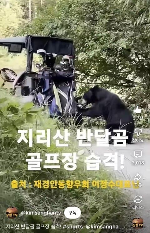 반달곰은 호전성이 없어서 사람있는 곳으로 와서 행패를 부리지 않습니다!_3.jpg